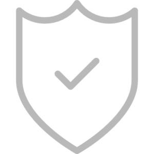 Icon 3